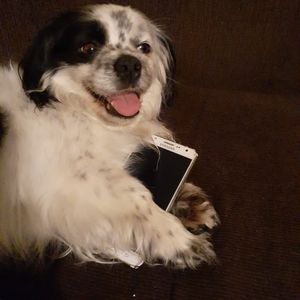 Meet your Posher, Norberto